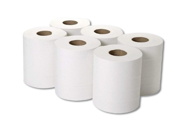 Maxi Roll Tissues (6 Rolls) 600 Grams