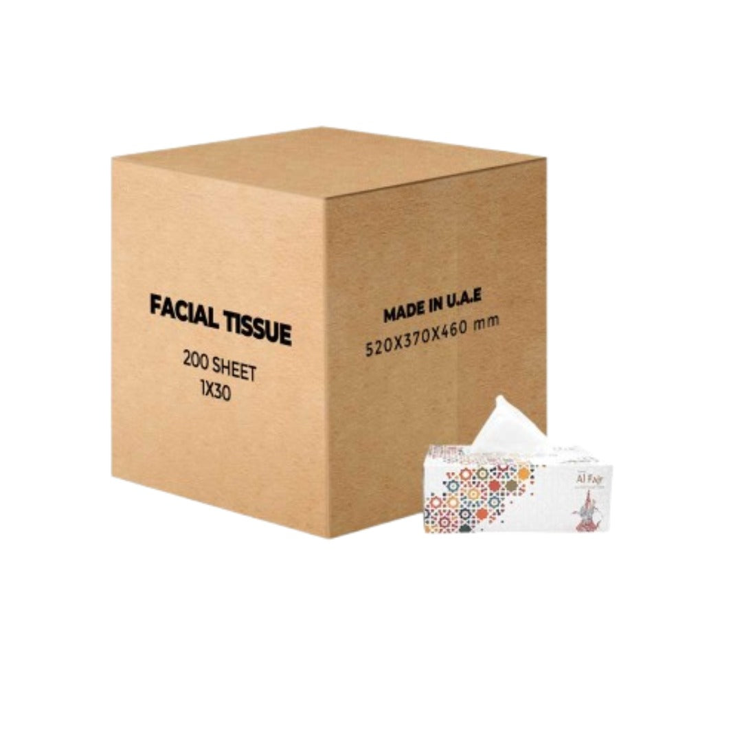Facial Tissue (Box) 30 Pcs