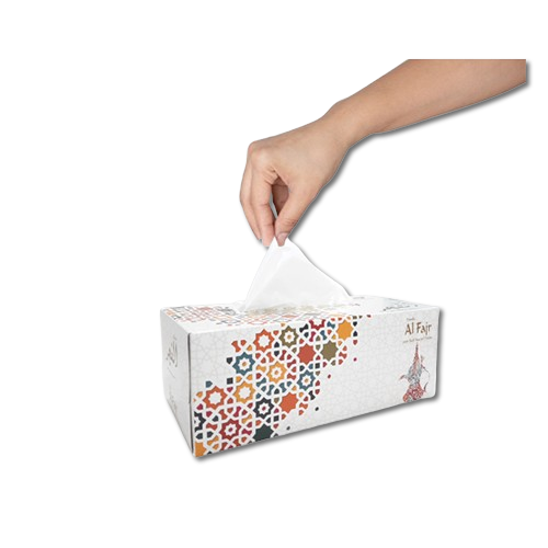 Facial Tissue (Box) 30 Packs, 200s