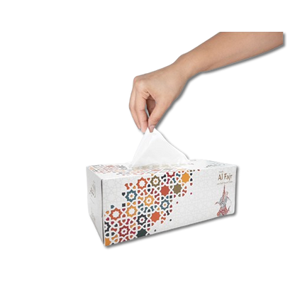 Facial Tissue (Box) 30 Pcs