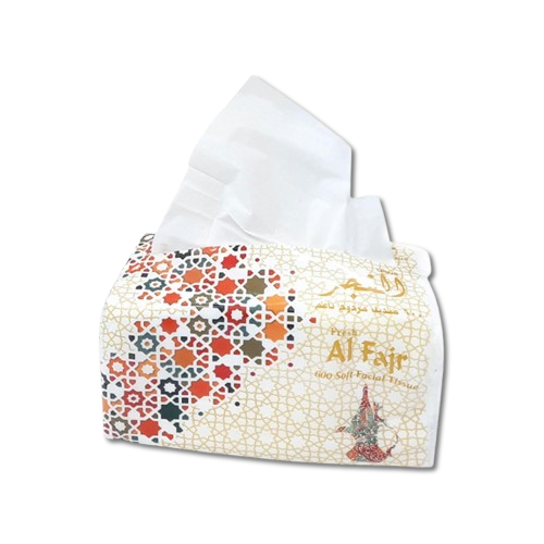 Facial Tissue (Nylon) 30 Packs, 600s