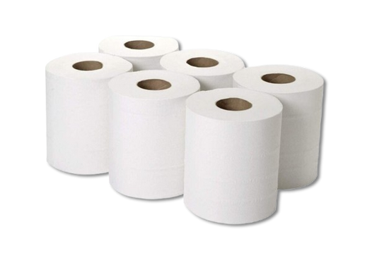 Maxi Roll Tissues (6 Rolls) 600 Grams